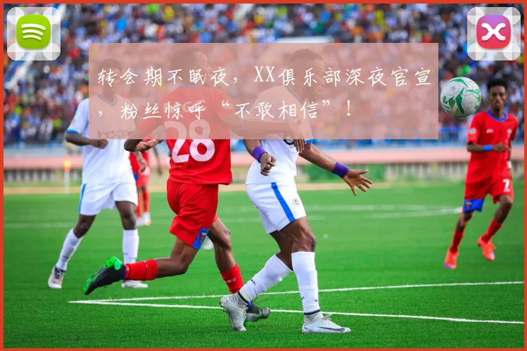 转会期不眠夜，XX俱乐部深夜官宣，粉丝惊呼“不敢相信”！